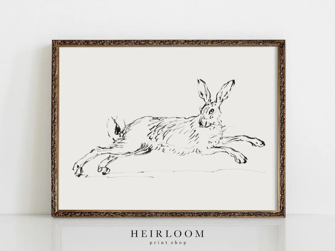 Rabbit Drawing  Bunny Artwork  Vintage Drawing  Spring ART - Etsy | Etsy (US)