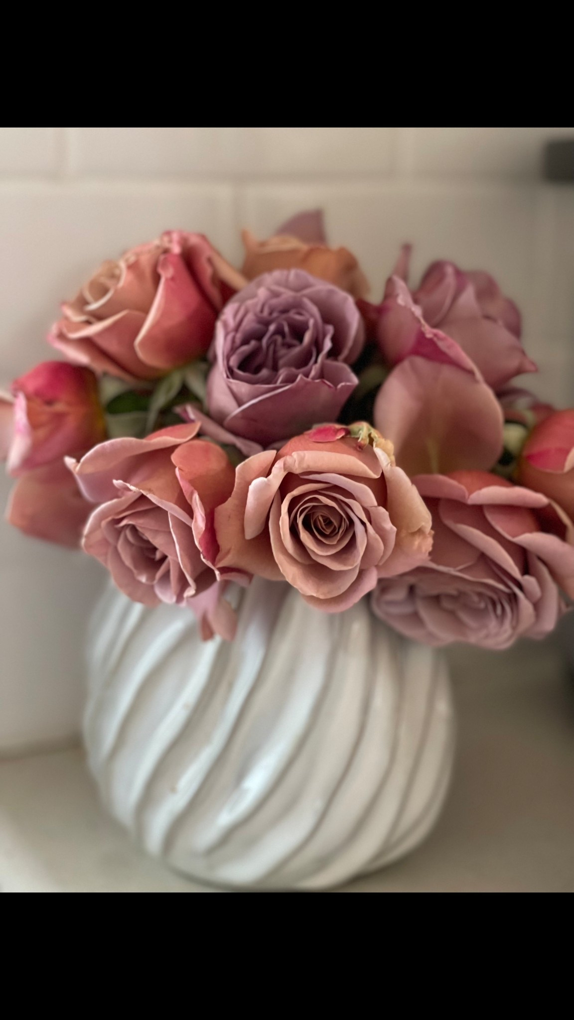 Garden gift idea for the gardener and the rose lover! This is one of our most popular roses at our flower farm! It produces so many roses and they are very hearty and look great in a vase! ❤️ 

#LTKGiftGuide #LTKHome #LTKFindsUnder100