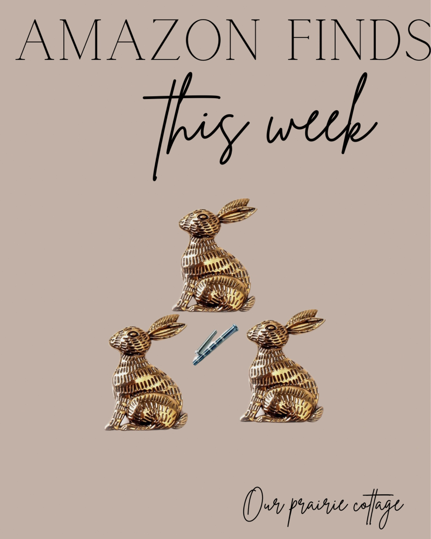 Amazon Finds
Bunny drawer knobs 

#LTKhome