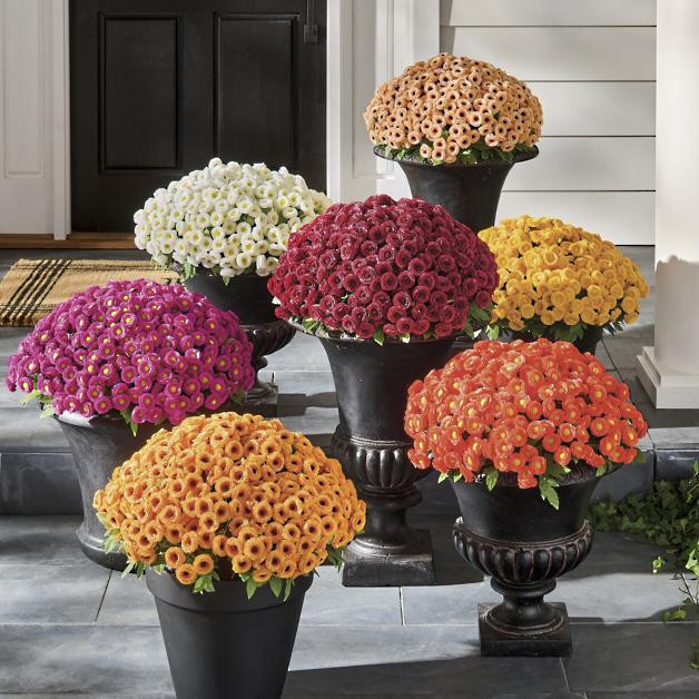 Mum Urn Filler | Grandin Road | Grandin Road