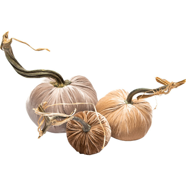 Hot Skwash | Exclusive Pumpkin Trio, | Silk (Beige, Size Small) | Maisonette | Maisonette