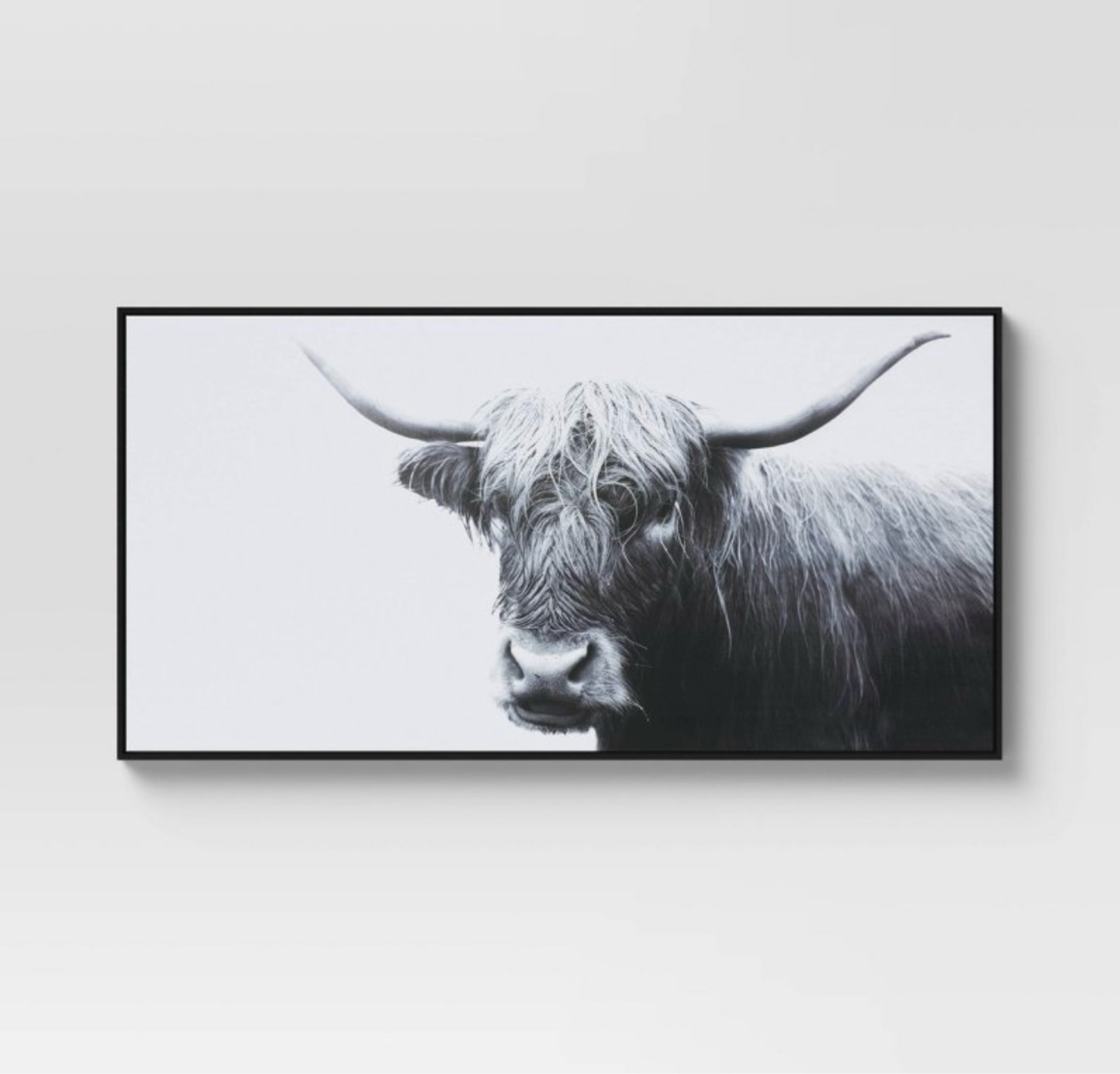 Highland Cow Wall Art Canvas

#LTKxWayfair #LTKFindsUnder50 #LTKHome
