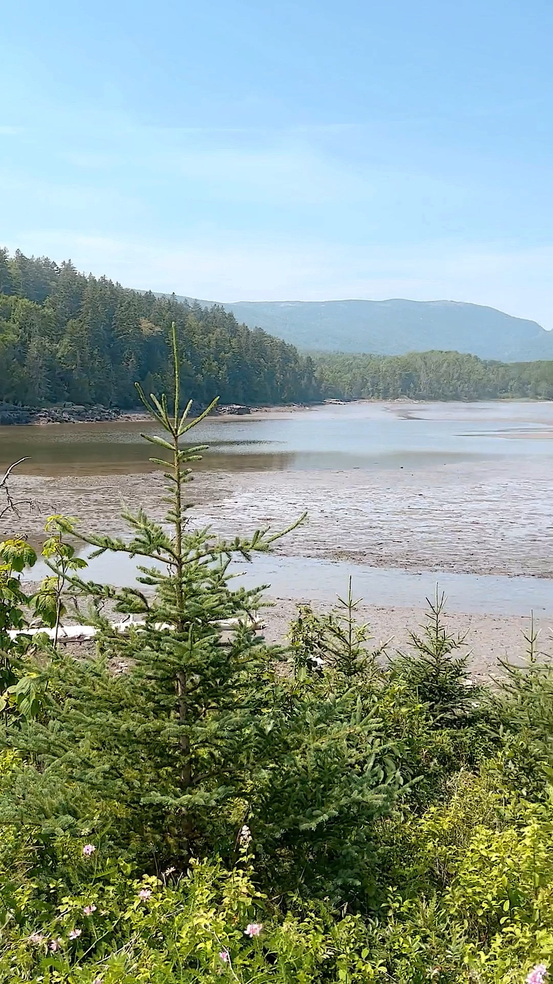 Stunning trip to Acadia National park as a cruise stop from Boston to Bermuda. Loved exploring Bar Harbor Maine and hiking!

Vacation ideas, New England trip, Maine vacation, hiking trip, Bar harbor hotels, Maine resorts

#LTKtravel #LTKSeasonal #LTKfamily