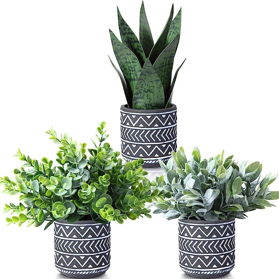 Kazeila 3 Pack Artificial Potted Plants,Fake Snake Plant,Greenery Eucalyptus Leaves and Flocked S... | Amazon (US)