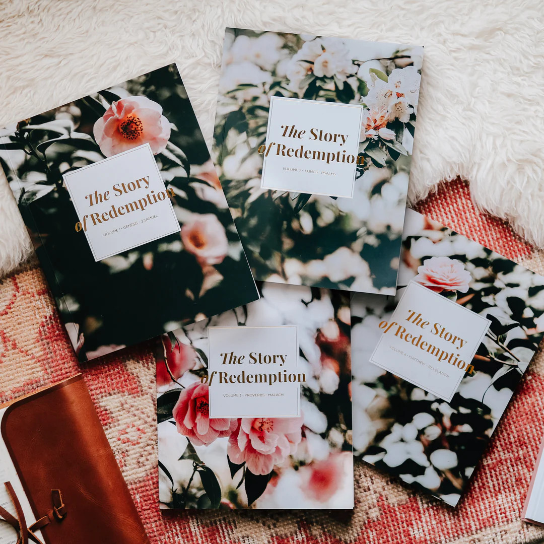 The Story of Redemption Bible Study Bundle | The Daily Grace Co.