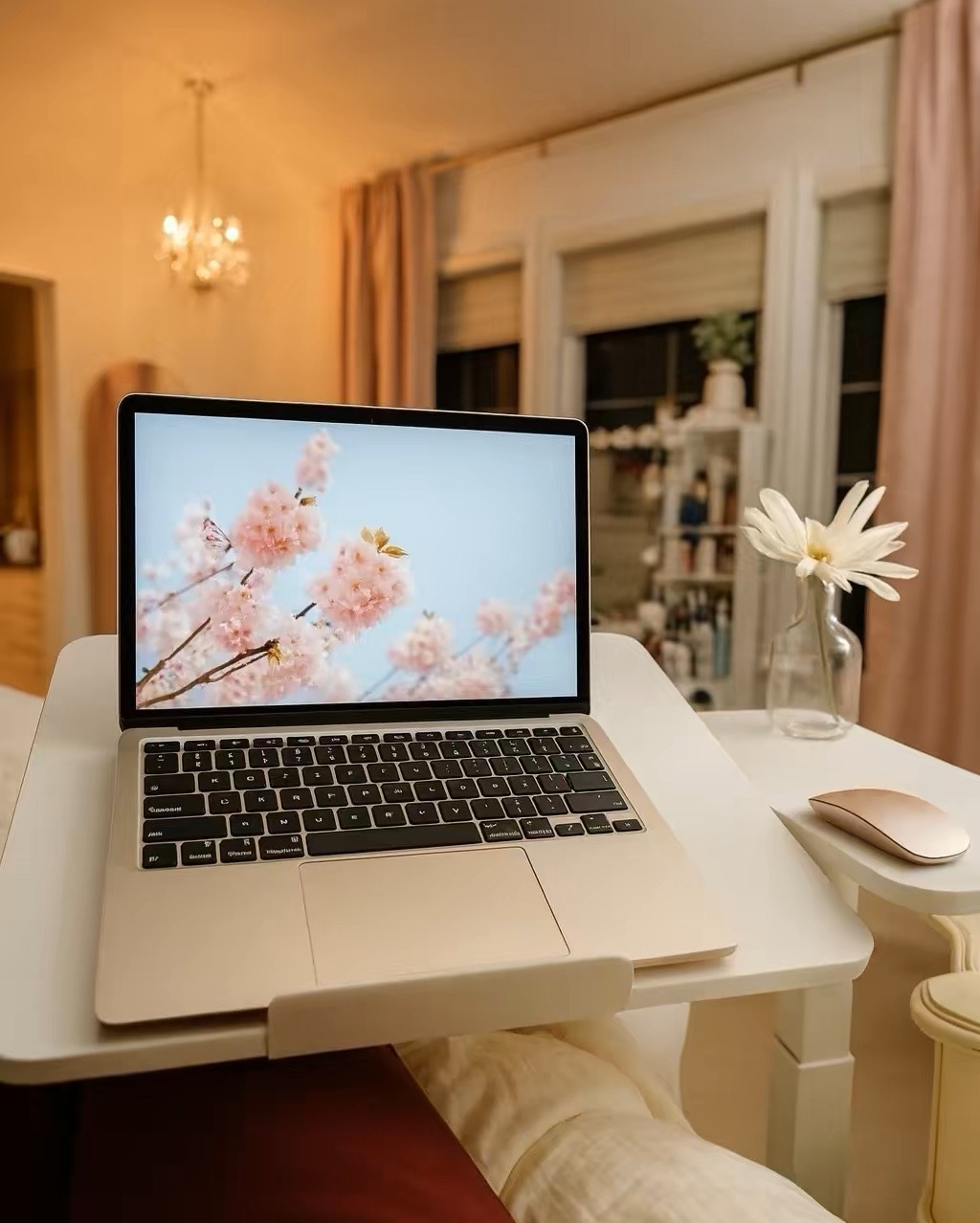 Kinda obsessed 😍 with this bed desk that tilts and rolls all around my room! I can fit it over my walking pad and even used it to fold laundry lol 🫣
Someone’s reel totally sold me again… and now I’m telling all of YOU that you also need one! 💻✨

#AmazonFinds #TikTokMadeMeBuyIt #WorkFromBed #MomLife #BedroomGoals #HomeOfficeSetup #AmazonFavorites #DeskSetup #CozyVibes #AmazonHome

#LTKMidsize #LTKHome #LTKGiftGuide