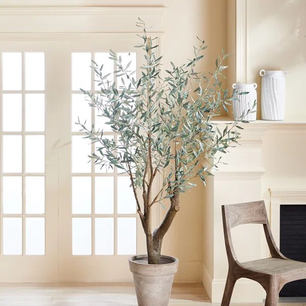 72.08'' Faux Olive Tree Tree in … curated on LTK