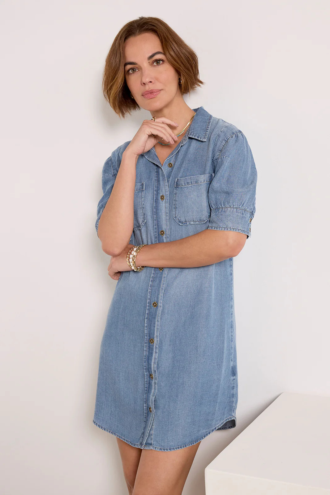 Sylvia Button Down Dress | Evereve