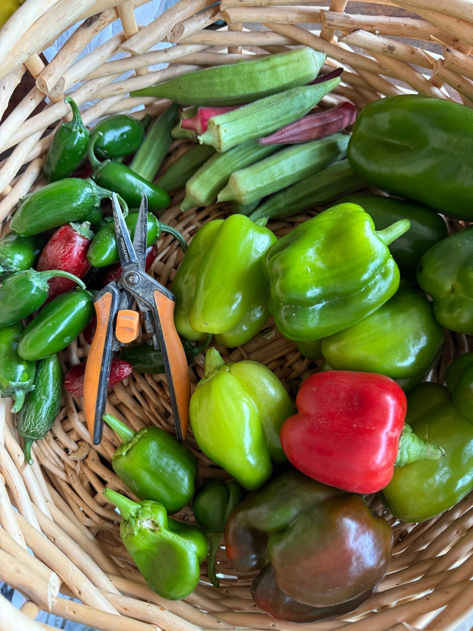 Lost the spring to my most fav garden scissors everrrrr 😭😭😭 these guys are my must have garden tool - brb - going to cry (jk!)

#LTKHome