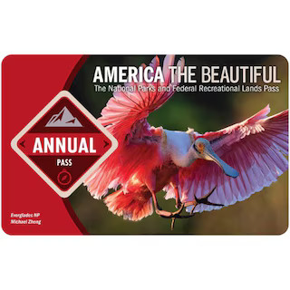 America the Beautiful Pass - 2025/2026 | REI