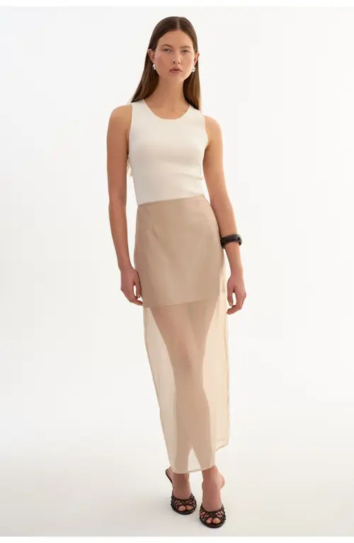 LAMARQUE Farley | Sheer Skirt in Beige at Nordstrom, Size Medium | Nordstrom