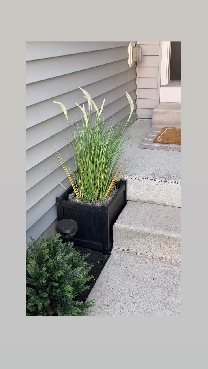 Added these faux cattail plants outside and I am pretty impressed! They add a nice touch without being overwhelming! These are the perfect size and are indoor / outdoor! 


#outdoorspaces #decorating #amazon #spring #planters

#LTKMothersDay #LTKSeasonal