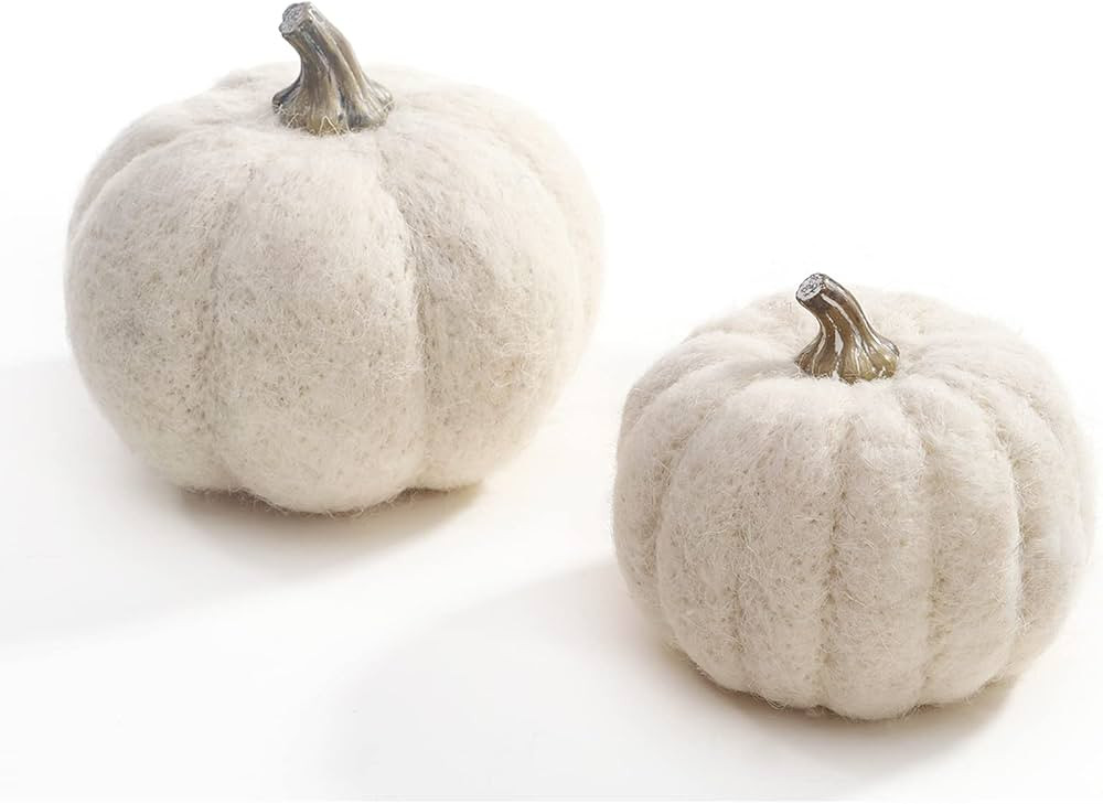 DN DECONATION White Pumpkin Decor, Fabric Pumpkin Set of 2, Pumpkins as Table Centerpiece for Fal... | Amazon (US)