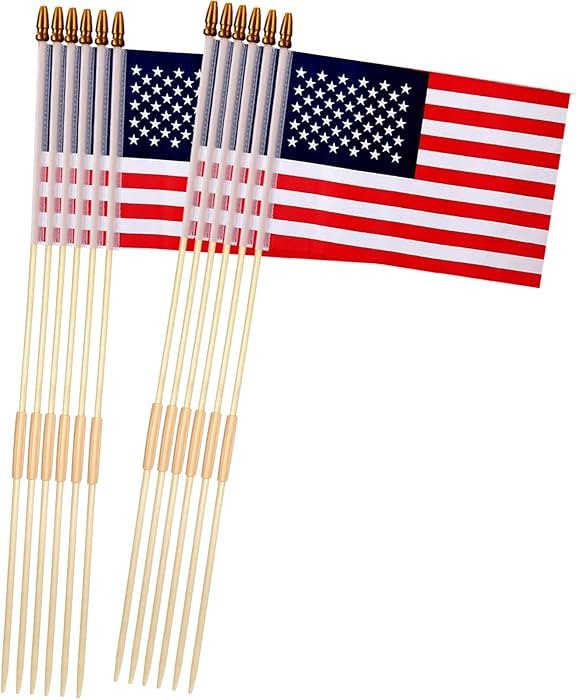 12 Pack 8x12 Inch American Flags on Stick, American Flags for Outside, USA Stick Flag with Handhe... | Amazon (US)