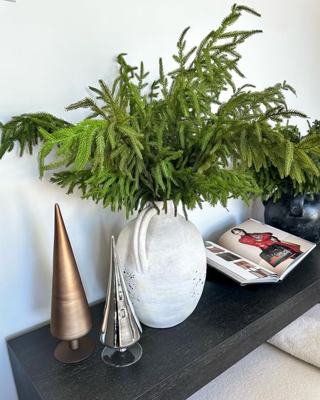Look for less on the viral Norfolk stems! I’ve gotten years out of these beautiful stems for $28 each …but now there is a gorgeous option that has that same real touch feeling or much less!
Both are 36” tall and beautiful 
Christmas decor, home decor, organic modern Christmas 
Linking similar stems bc they are selling out fast!
#ltkseasonal


#LTKstyletip #LTKhome #LTKHoliday