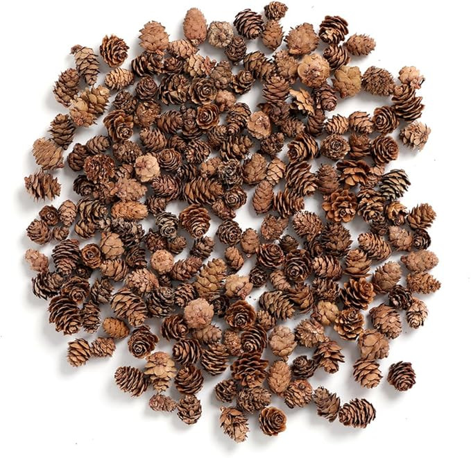 BYHER Pine Cones, Mini Pinecones in Bulk for Crafts, 8OZ, Pack of 110 (Natural) | Amazon (US)
