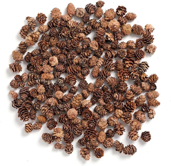 BYHER Pine Cones, Mini Pinecones in Bulk for Crafts, 8OZ, Pack of 110 (Natural) | Amazon (US)