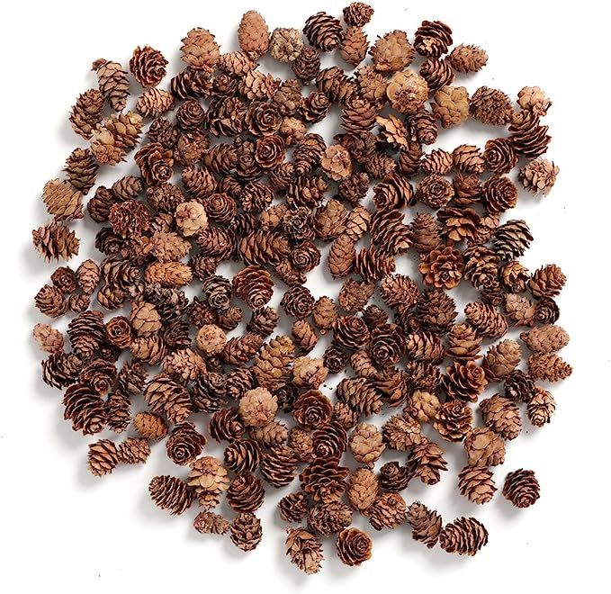 BYHER Pine Cones, Mini Pinecones in Bulk for Crafts, 8OZ, Pack of 110 (Natural) | Amazon (US)