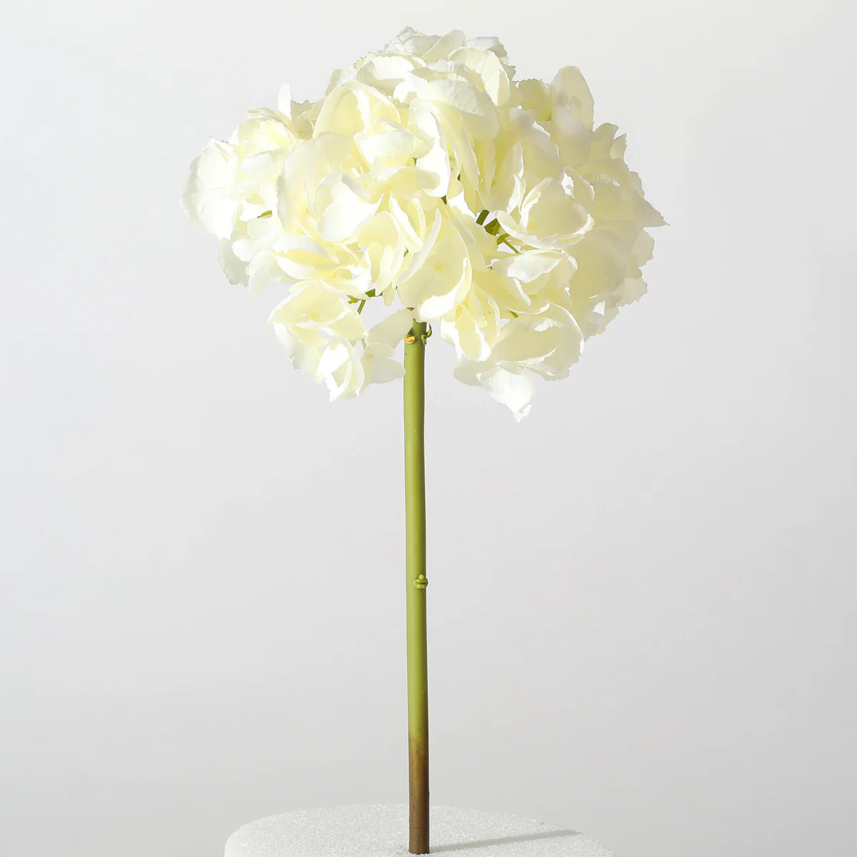 The Perfect Hydrangea White - Forever Flower Silk 19 Inch Stem | Darby Creek Trading