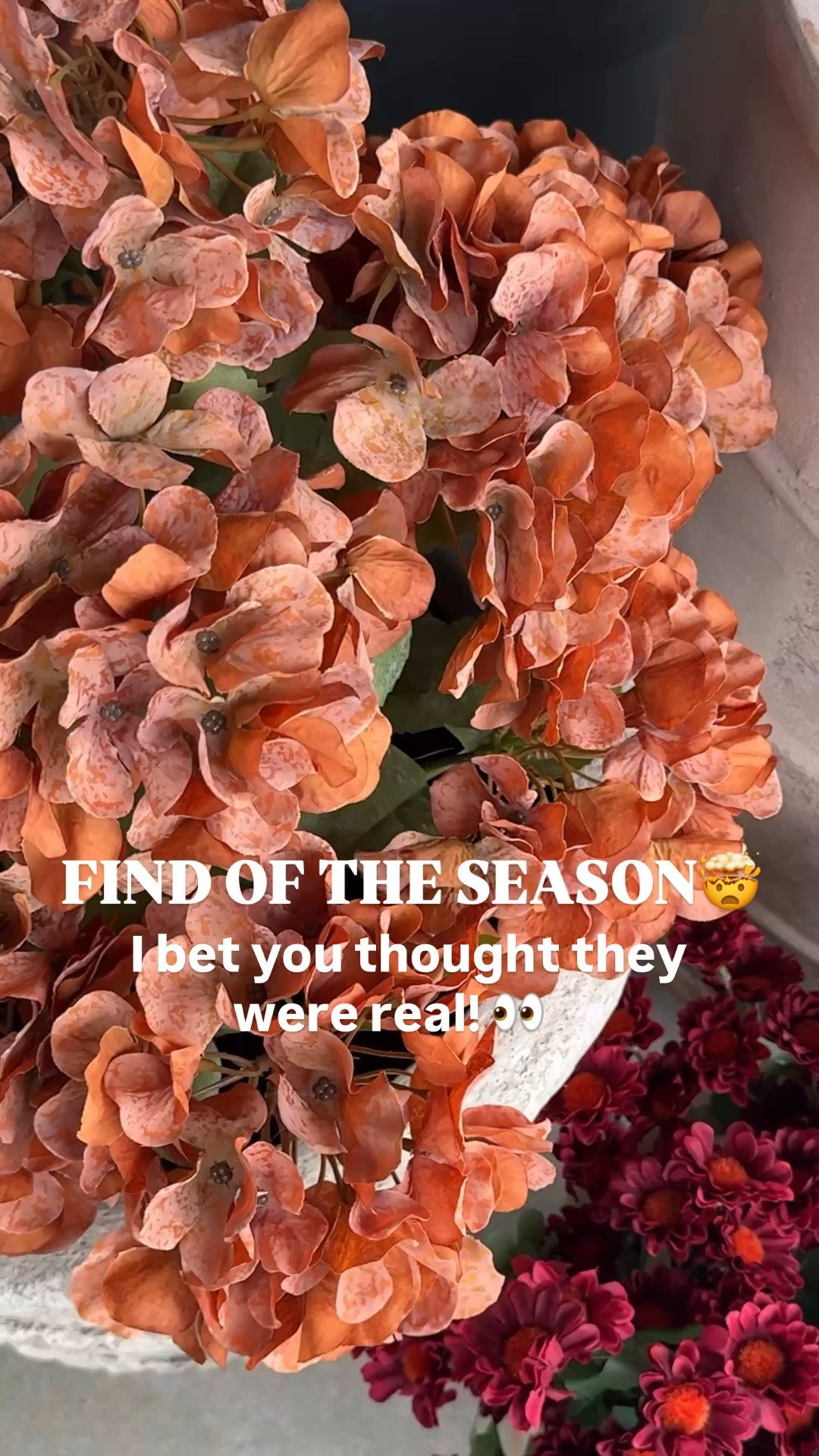🚨FIND OF THE SEASON ALERT🚨 I bet you thought they were real! 👀🍂  The secret to a gorgeous zero-maintenance fall porch? These hydrangeas. 🤎

#LTKSeasonal #LTKHome #LTKSaleAlert