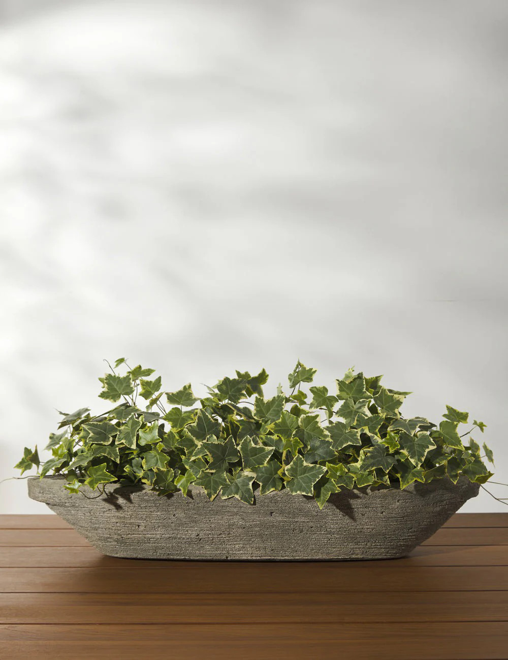 Cast Stone Tabletop Planters by Campania International | Lulu and Georgia 