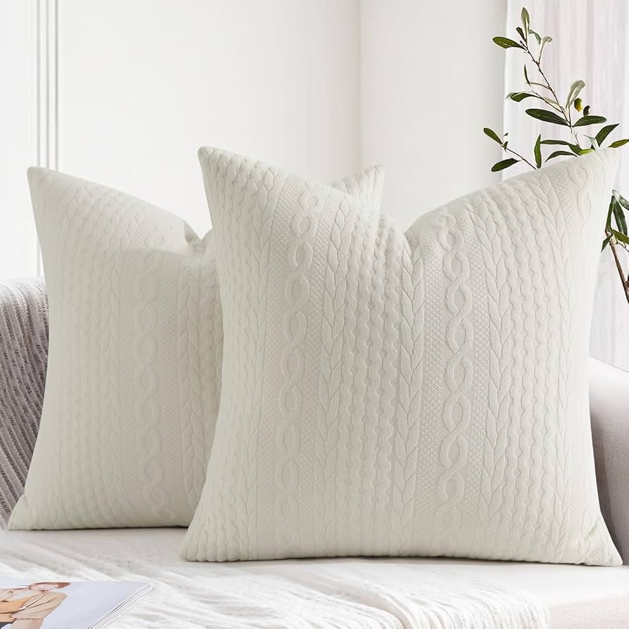 Cikary Decorative Throw Pillow Covers 20x20 Set of 2 for Sofa Bed with Raised Twisted Rope Patter... | Amazon (US)
