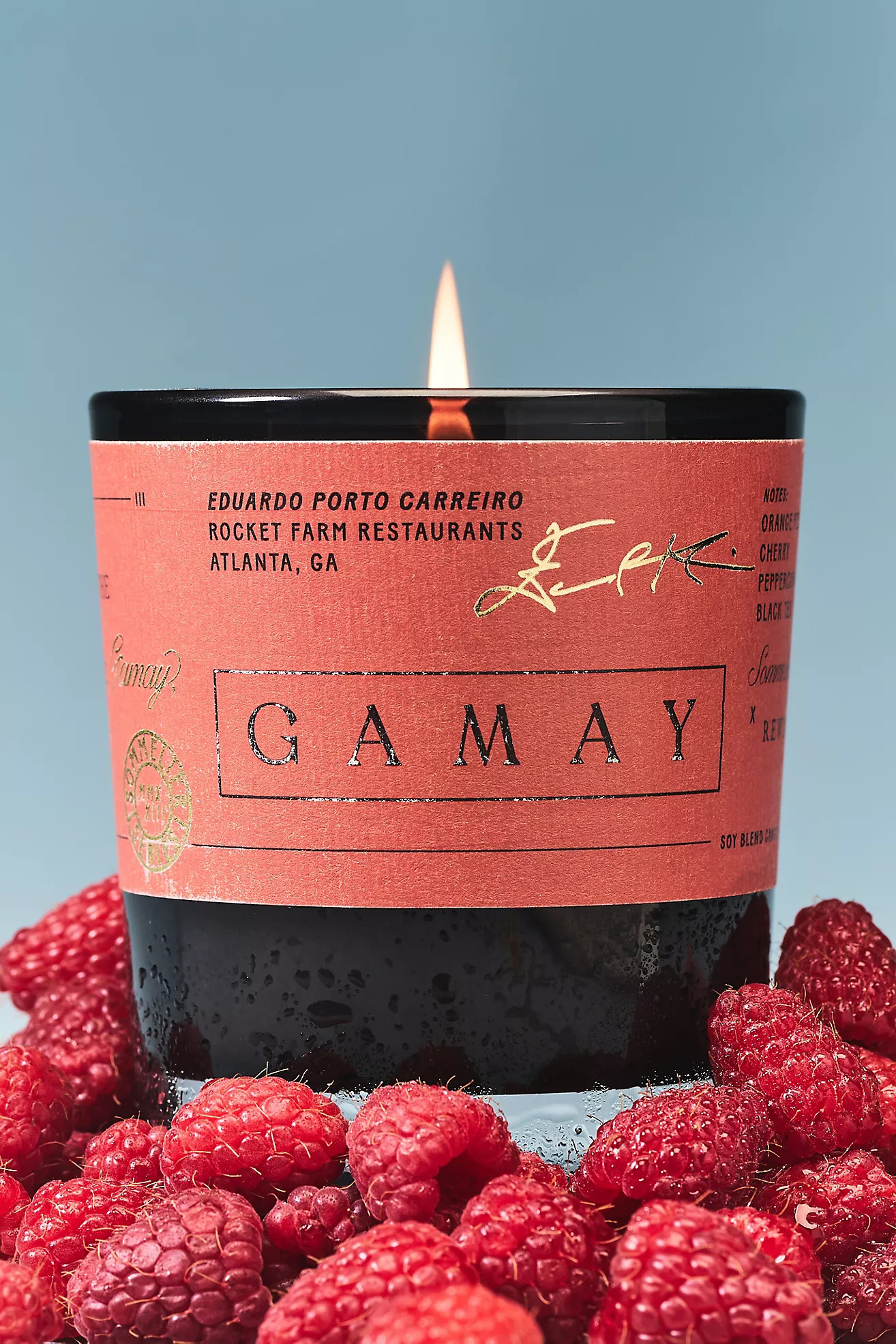 Rewined Gamay Glass Candle | Anthropologie (US)