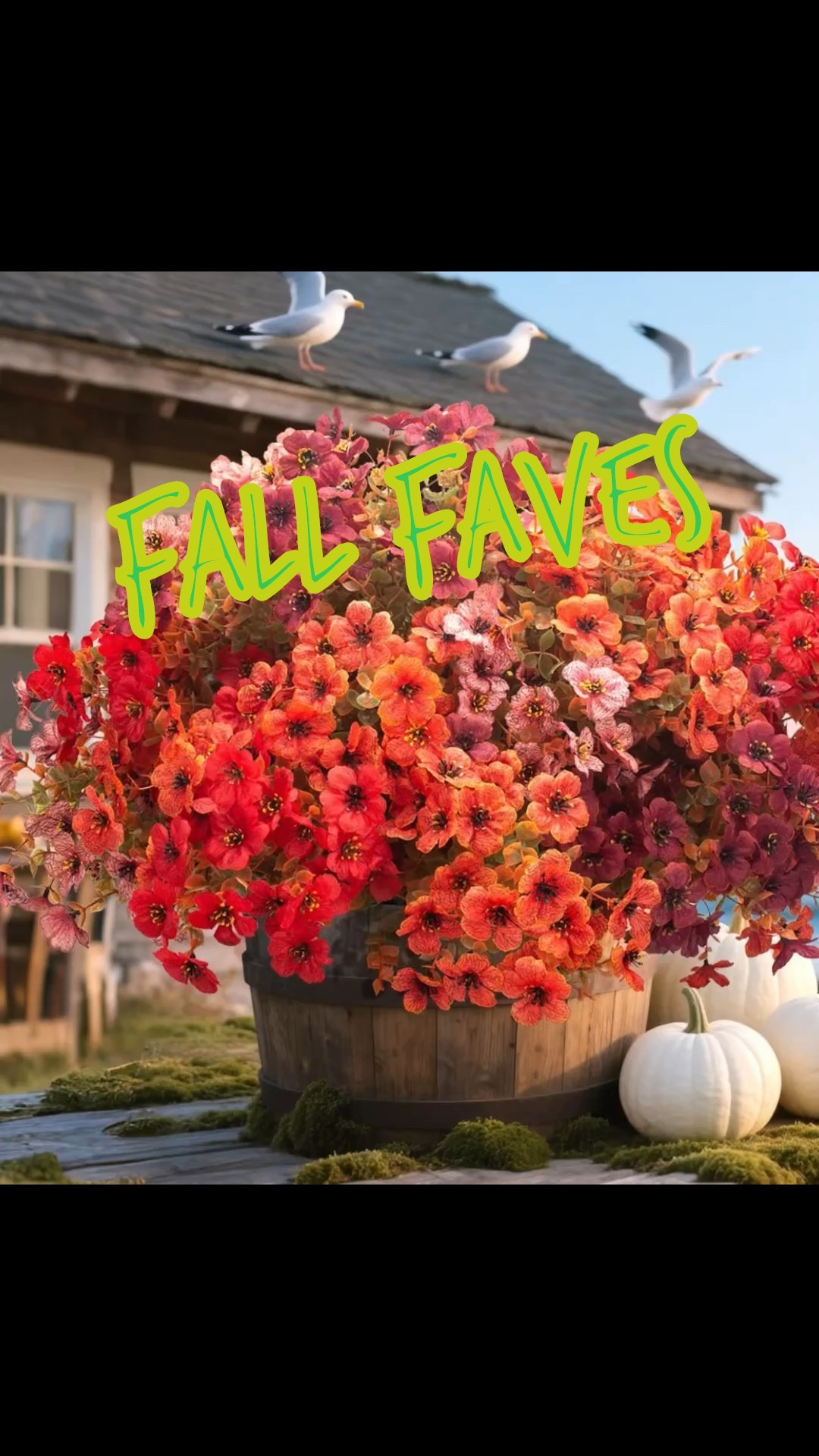 Get your home ready for the Fall season! We are all about Halloween football and fall leaves. I love to do a fall reset inside and out. It just feels so cozy. 








#fallreset #halloween #football #footballseason #tailgate #football #autumn #cozy #cozyreset #ltkhome #ltku #ltkfindsunder50 #homedecor #ltkfindsunder100 #ltkfamily #LTKFallSale #falldecor #halloween #footballseason 

#LTKHalloween #LTKHome #LTKSeasonal