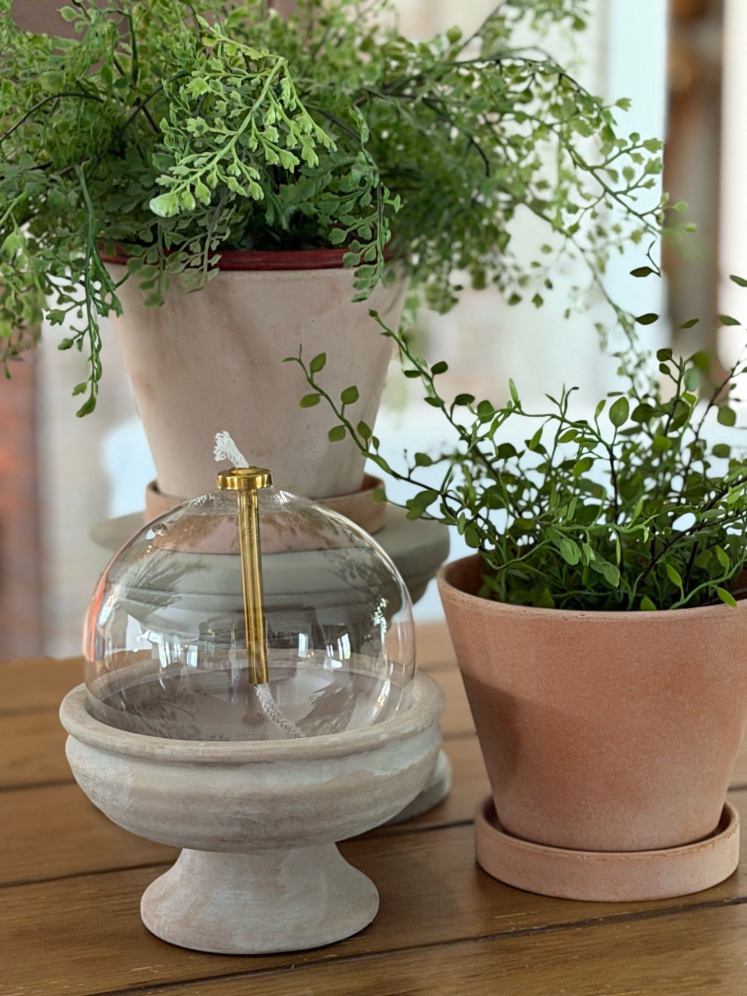 I just added some new Summer home decor for both indoors and outdoors from @Terrain.

#LTKSeasonal #LTKHome
