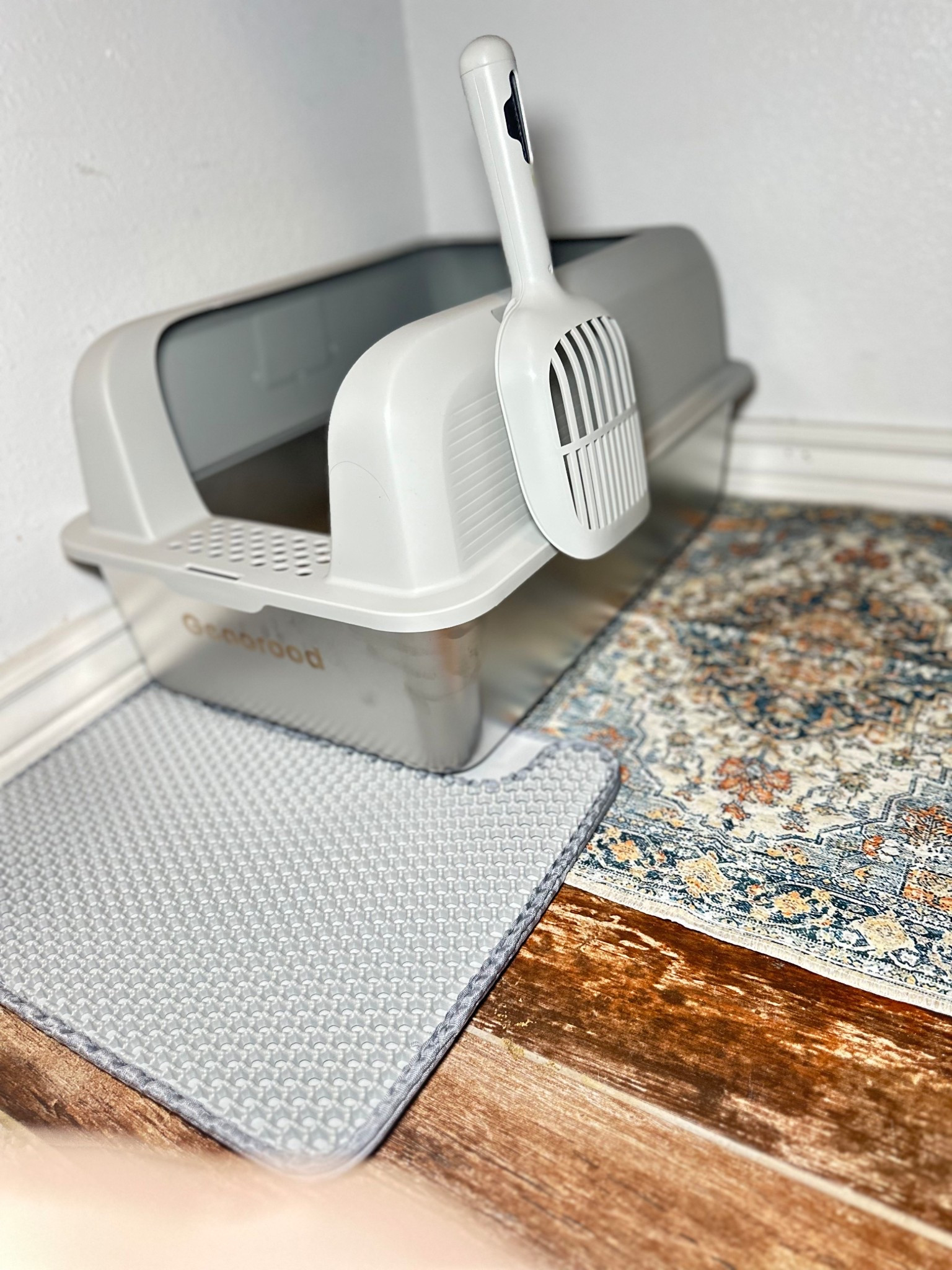 Pet things, litter box, pet rug 

#LTKdayinmylife #LTKstorytime #LTKootd