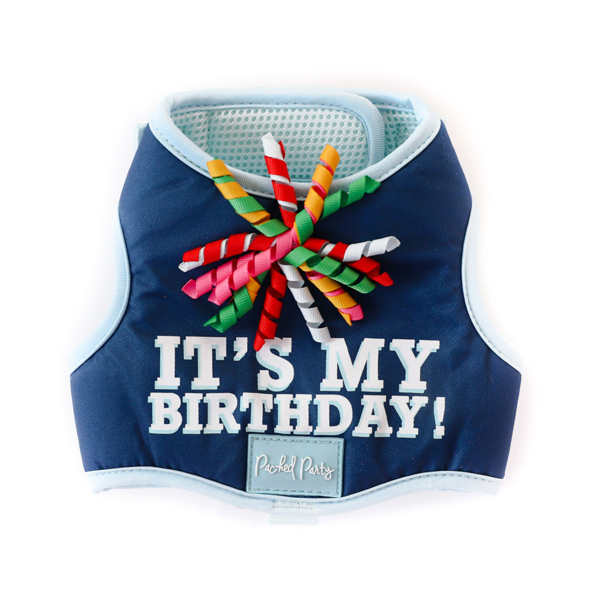 Packed Party Birthday Dog Harness, Extra Small | Walmart (US)