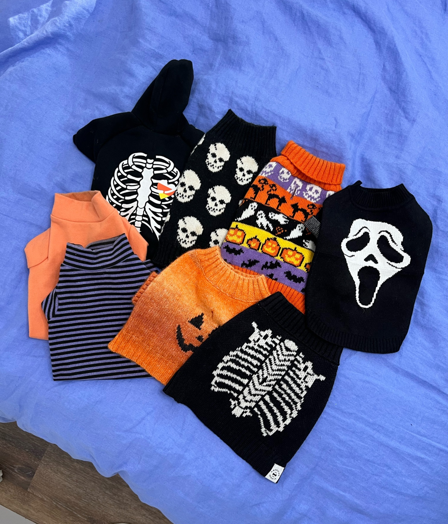 Halloween Fall October Pet cat/dog sweaters! 

#LTKFamily #LTKHalloween