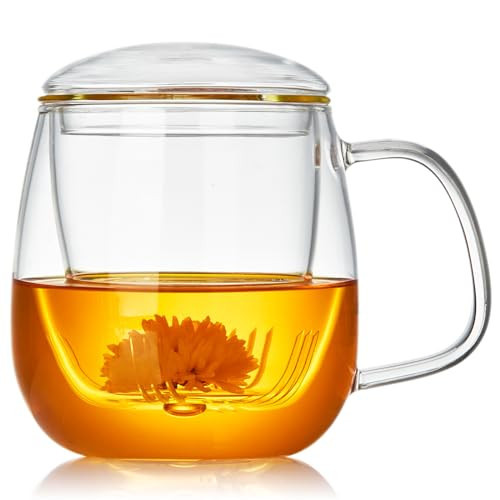 DOPUDO Large Glass Tea Cup, 25.6 oz Borosilicate Glass Tea Mug with Infuser and Lid, Clear Tea Cups for Brewing Scented Tea and Tea Bag | Amazon (US)
