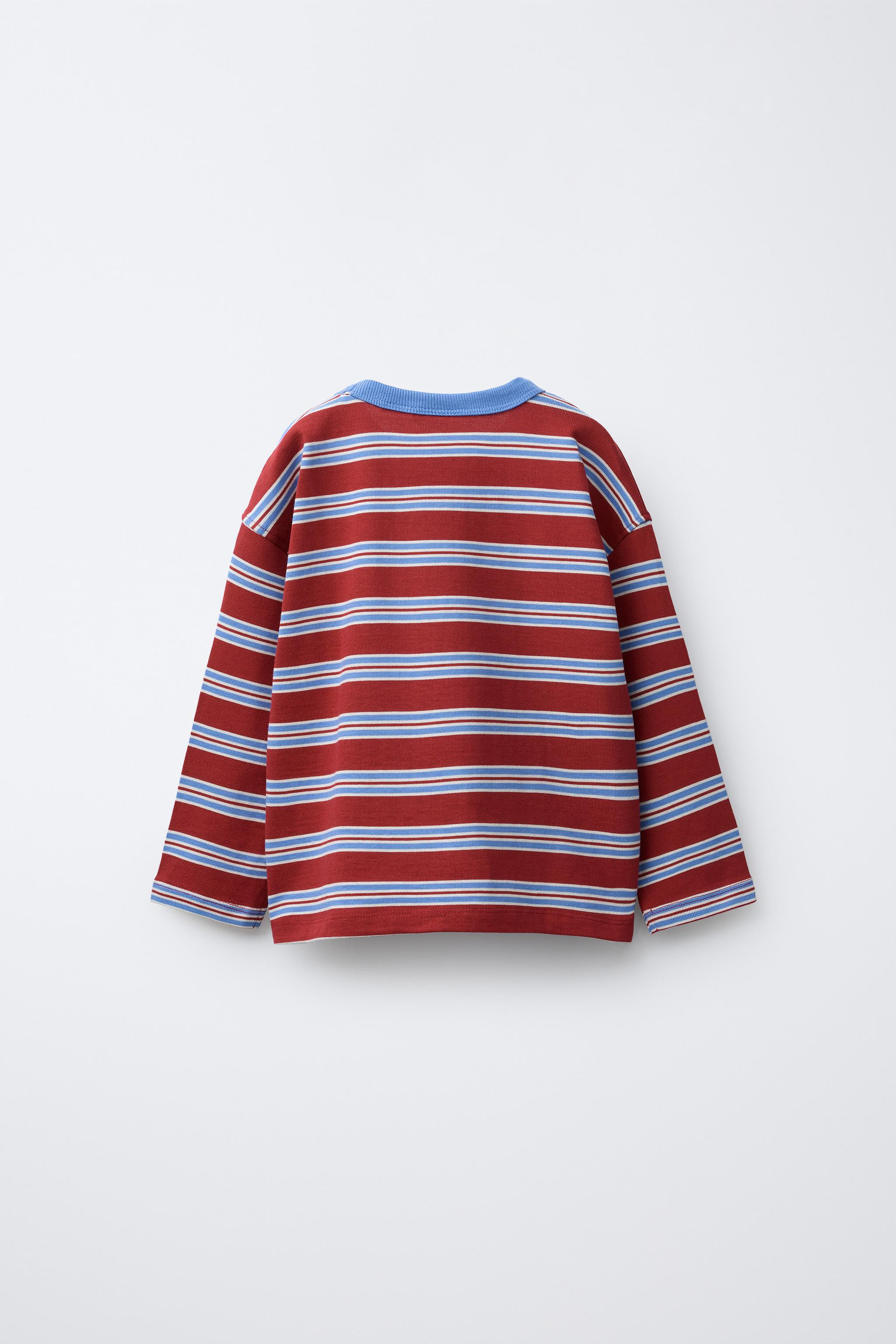 STRIPED EMBROIDERED T-SHIRT | Zara UK