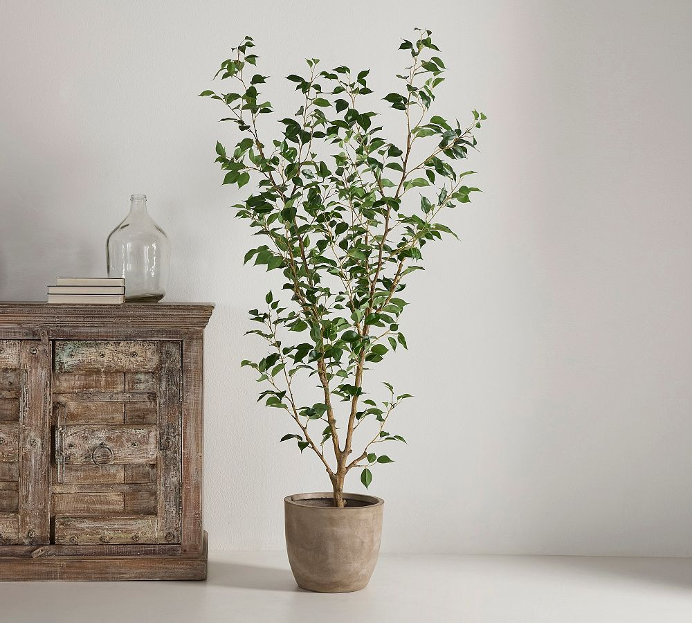 Faux Ficus Benjamina Tree | Pottery Barn (US)
