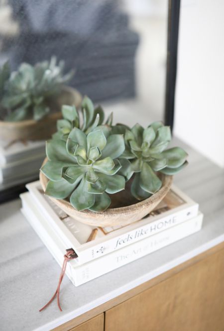 I love the natural jade color on these faux succulents! They add such a pretty texture to a space when used as bowl filler! 😍 #ltkhome #rusticdecor #homedecor #fauxgreenery

#LTKSeasonal #LTKhome #LTKstyletip