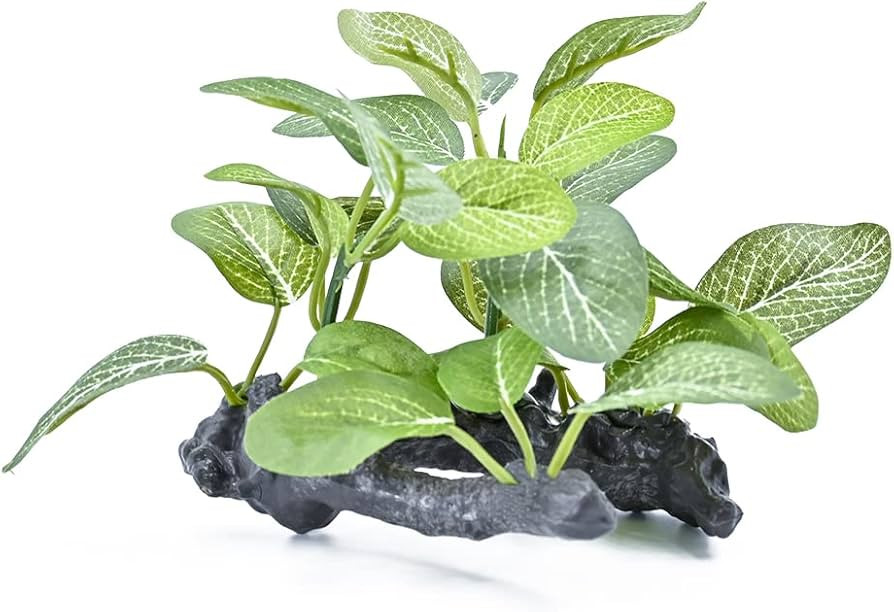 MRTIOO Reptile Artificial Plants, Terrarium Plants Decorations Supplies, Rainforest Ground Plant,... | Amazon (US)