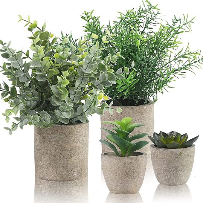 Amazon.com: Small Fake Plants Set of 4 - Eucalyptus Rosemary Succulents Plants Artificial in Pots... | Amazon (US)