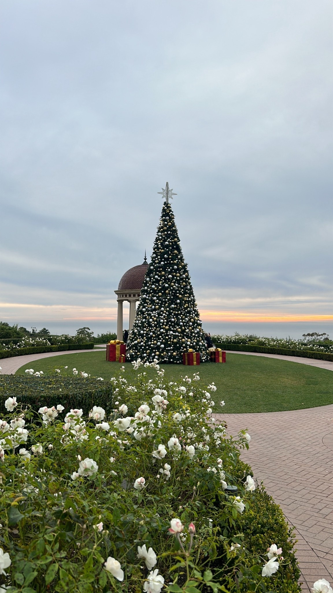 Holiday Views at Pelican Hill

Visiting Pelican Hill during the holidays is such a treat. The resort’s iconic Christmas tree is beautifully decorated and instantly festive. Everywhere you look, the views are stunning, from the perfectly manicured grounds to the sparkling lights that make the resort feel magical. Walking around, taking in the tree and the scenery, is the perfect way to get into the holiday spirit

#pelicanhillresort #holidayviews #christmastree #holidaydecor #luxuryresort #festivemoments #holidaymagic #holidaytravel #resortviews #holidayseason #holidaygetaway #festivevibes

pelican hill | pelican hill resort | christmas tree | holiday decor | luxury resort | holiday travel | festive views | resort christmas | holiday getaway | luxury holiday | holiday magic | scenic resort views

#LTKTravel #LTKHoliday #LTKSeasonal