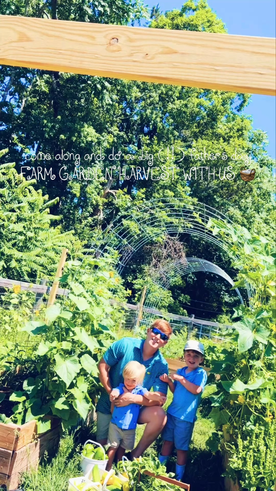 Come along and do a big (!!) father’s day farm garden harvest with us 🧺🧢👩‍🌾🪏🪴🥒🍅🫑🌱🪵🫛💛🫘🌿