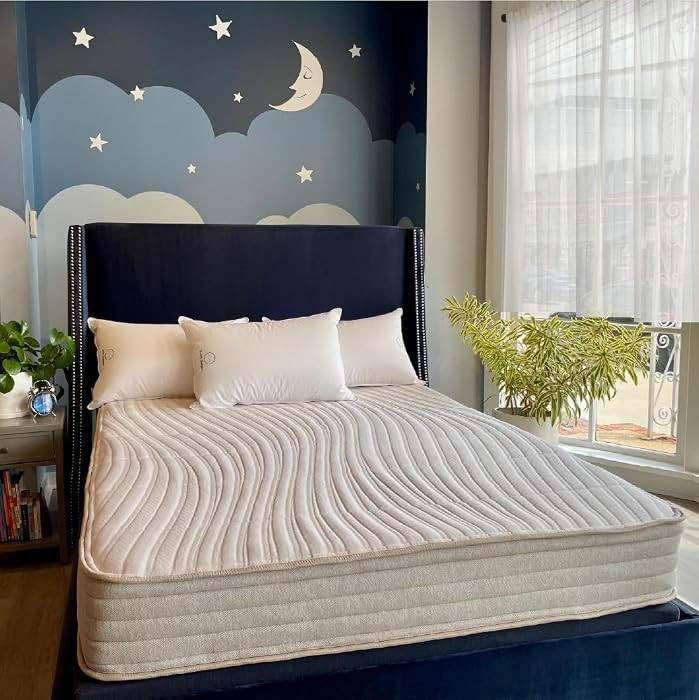 Ethical Mattress CO 10" Toxin-Free Hybrid Mattress, Made in The USA with Organic Cotton, Wool, La... | Amazon (US)