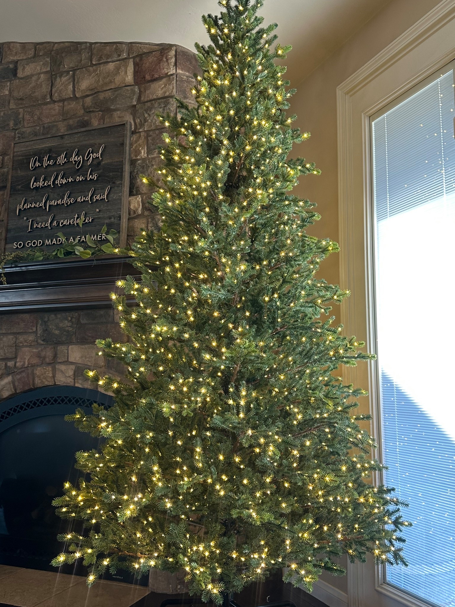 Viral twinkling Christmas tree is actually sooooo worth the hype I am obsessed! So many lights😻 can’t wait to decorate it! Mine is the 9 foot Grand Fir 🎄

#LTKSeasonal #LTKHoliday #LTKHome