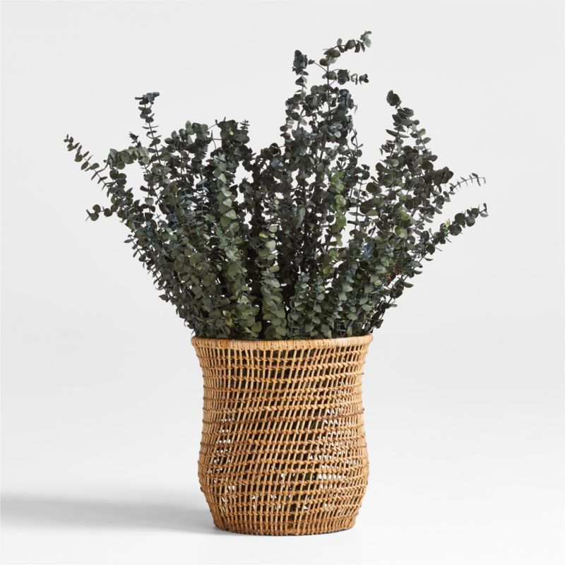 Olive Green Dried Eucalyptus Plant Bunch + Reviews | Crate & Barrel | Crate & Barrel