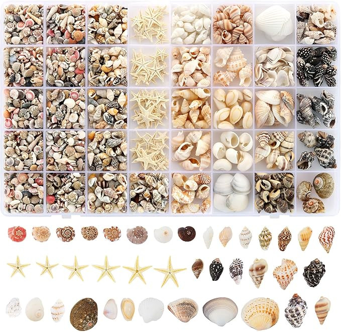 Zefy 23 Types Small Sea Shells for Crafts, 1200 Pcs Tiny Seashells with Mixed Size Starfish, Mini... | Amazon (US)