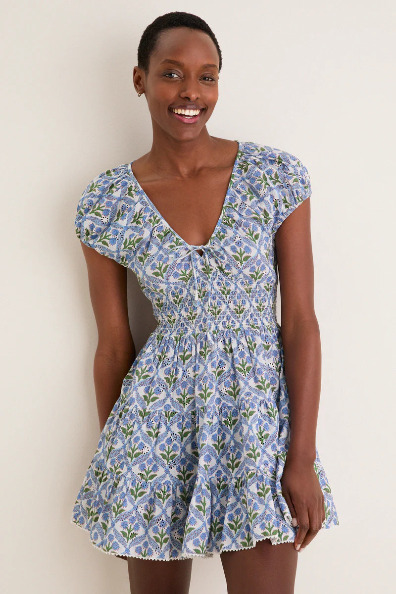 Cornflower Asterid Mini Dress | Tuckernuck (US)