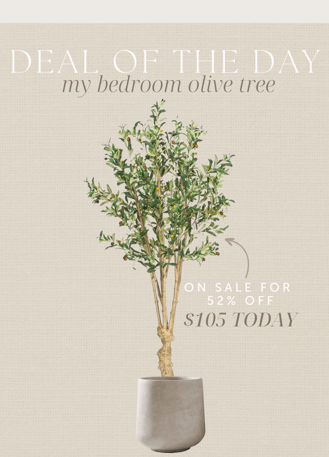 Deal of the day - amazon olive tree #olivetree #homedecor #homefind #amazon #amazonhome #amazonfind #dealoftheday #modernorganic #realisticfauxtree #fauxtree 

#LTKhome #LTKsalealert #LTKFind