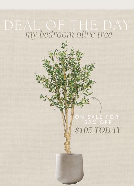 Deal of the day - amazon olive tree #olivetree #homedecor #homefind #amazon #amazonhome #amazonfind #dealoftheday #modernorganic #realisticfauxtree #fauxtree 

#LTKhome #LTKsalealert #LTKFind
