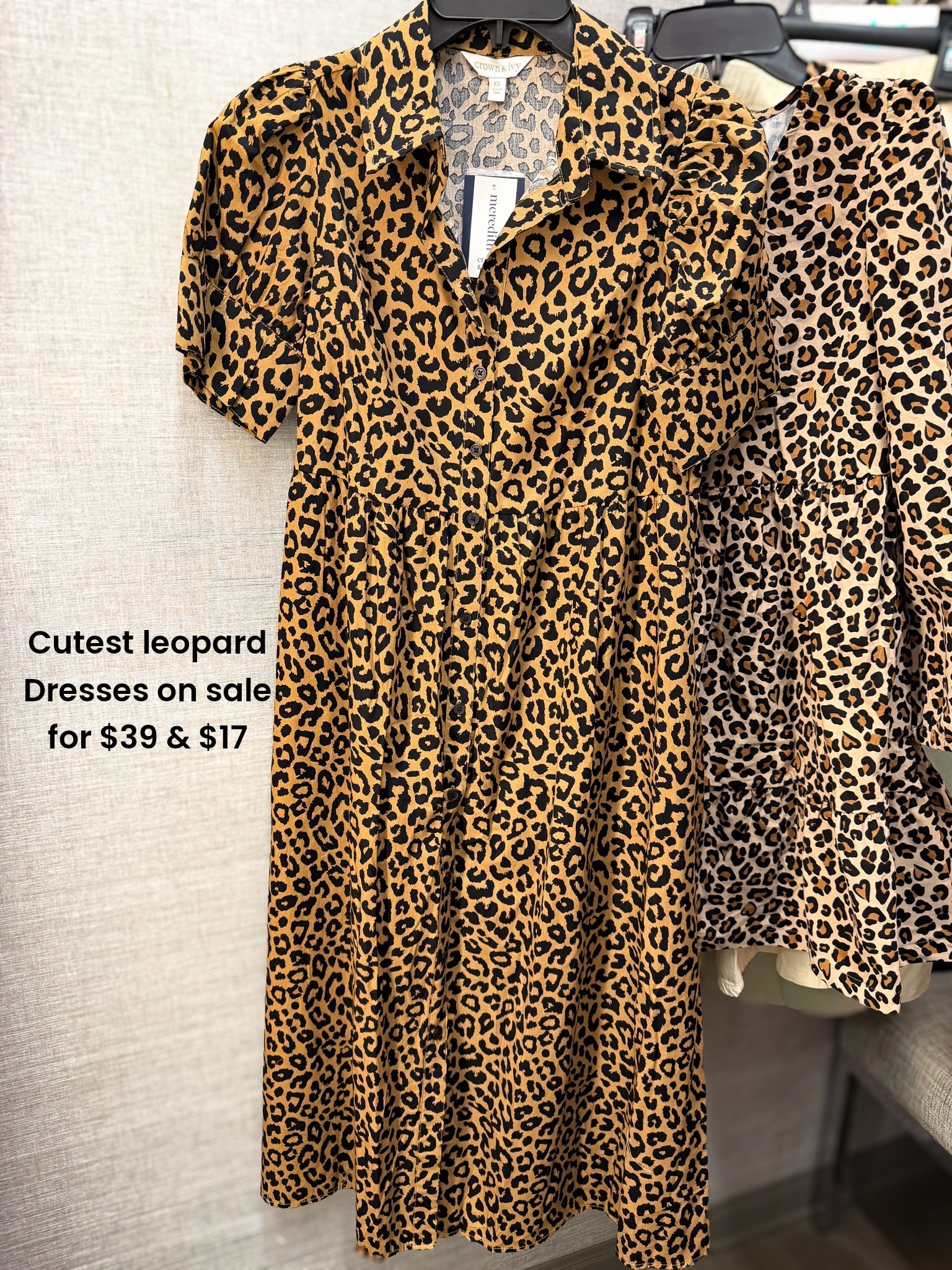 🐆 BELK SALE ALERT! If you’ve been looking for the perfect leopard print dress for fall, these are such a good find! The women’s midi has the cutest button-front detail and flattering fit, and the matching girls’ corduroy leopard dress is absolutely precious for back-to-school, family photos, pumpkin patches, and all the fun fall activities.

The best part? They’re both on major sale! 🤎

✨ Women’s leopard midi dress: $39 (regularly $98)
✨ Girls’ corduroy leopard dress: $17

I love finding affordable pieces that look so much more expensive, and these definitely have that boutique-inspired look without the boutique price. If you’re planning matching mommy-and-me outfits this season, these are too cute to pass up!

#Belk #BelkFinds #BelkStyle #FallFashion #LeopardPrint #LeopardDress #MommyAndMeStyle #MatchingOutfits #FallOutfits #AffordableFashion #Women’sFashion #GirlsFashion #BackToSchoolStyle #FallWardrobe #SaleFinds #FashionDeals #MidiDress #CorduroyDress #FamilyPhotoOutfits #FallStyleInspiration

#LTKootd #LTKSaleAlert #LTKPetite