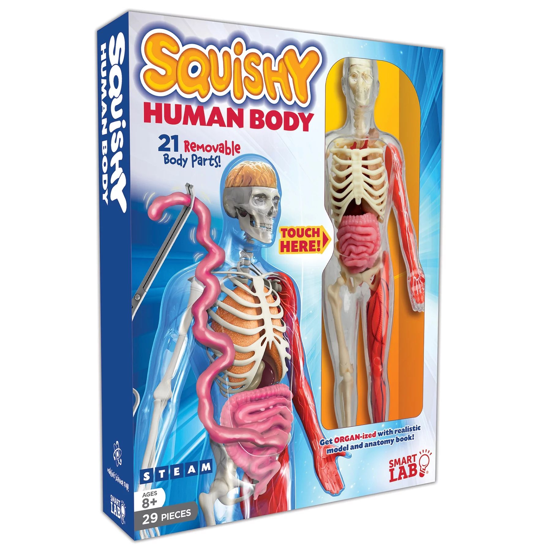 Smart Lab Toys Squishy Human Body Science Set for Kids | Walmart (US)