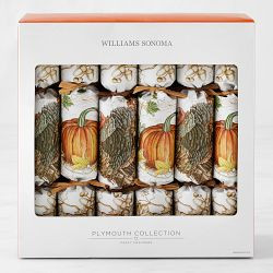 Plymouth Crackers, Set of 12 | Williams-Sonoma